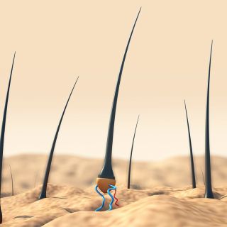 Rinforza i Capelli dalla Radice