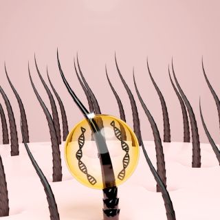 Nutre e Rigenera il Cuoio Capelluto